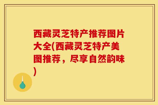 西藏灵芝特产推荐图片大全(西藏灵芝特产美图推荐,尽享自然韵味) 西藏灵芝特产推荐图片大全(西藏灵芝特产美图推荐,尽享自然韵味)
