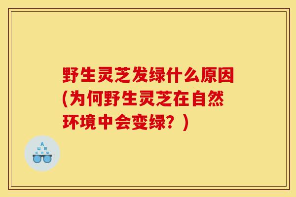 野生灵芝发绿什么原因(为何野生灵芝在自然环境中会变绿?) 野生灵芝发绿什么原因(为何野生灵芝在自然环境中会变绿?)
