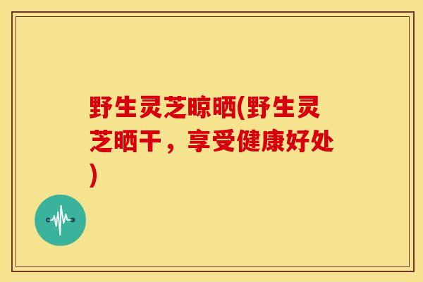 野生灵芝晾晒(野生灵芝晒干,享受健康好处) 野生灵芝晾晒(野生灵芝晒干,享受健康好处)