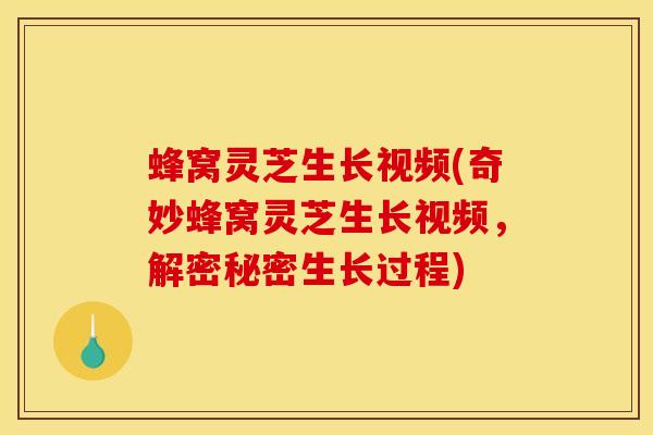 蜂窝灵芝生长视频(奇妙蜂窝灵芝生长视频,解密秘密生长过程) 蜂窝灵芝生长视频(奇妙蜂窝灵芝生长视频,解密秘密生长过程)