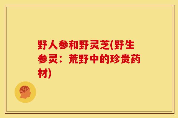 野人参和野灵芝(野生参灵:荒野中的珍贵药材) 野人参和野灵芝(野生参灵:荒野中的珍贵药材)