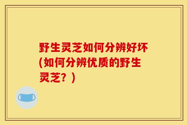 野生灵芝如何分辨好坏(如何分辨优质的野生灵芝？)