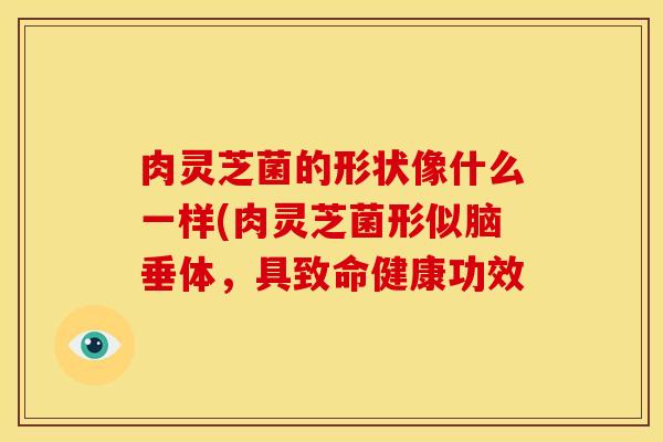 肉灵芝菌的形状像什么一样(肉灵芝菌形似脑垂体,具致命健康功效 肉灵芝菌的形状像什么一样(肉灵芝菌形似脑垂体,具致命健康功效