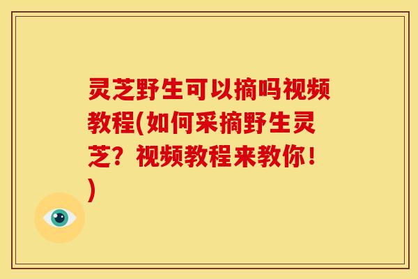 灵芝野生可以摘吗视频教程(如何采摘野生灵芝?视频教程来教你!) 灵芝野生可以摘吗视频教程(如何采摘野生灵芝?视频教程来教你!)