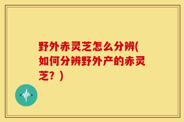 野外赤灵芝怎么分辨(如何分辨野外产的赤灵芝?) 野外赤灵芝怎么分辨(如何分辨野外产的赤灵芝?)