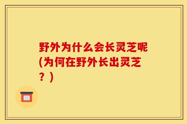 野外为什么会长灵芝呢(为何在野外长出灵芝?) 野外为什么会长灵芝呢(为何在野外长出灵芝?)