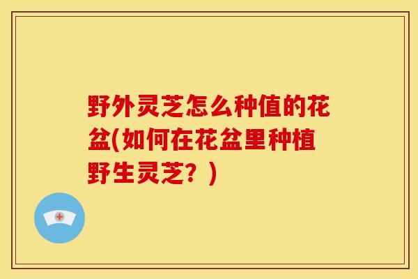 野外灵芝怎么种值的花盆(如何在花盆里种植野生灵芝？)