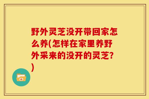 野外灵芝没开带回家怎么养(怎样在家里养野外采来的没开的灵芝?) 野外灵芝没开带回家怎么养(怎样在家里养野外采来的没开的灵芝?)