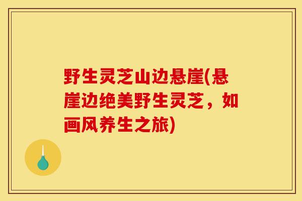 野生灵芝山边悬崖(悬崖边绝美野生灵芝,如画风养生之旅) 野生灵芝山边悬崖(悬崖边绝美野生灵芝,如画风养生之旅)