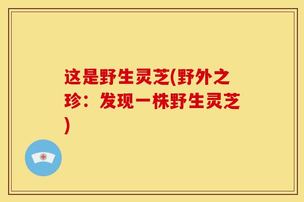 这是野生灵芝(野外之珍:发现一株野生灵芝) 这是野生灵芝(野外之珍:发现一株野生灵芝)