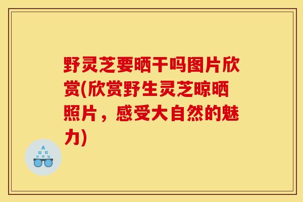 野灵芝要晒干吗图片欣赏(欣赏野生灵芝晾晒照片,感受大自然的魅力) 野灵芝要晒干吗图片欣赏(欣赏野生灵芝晾晒照片,感受大自然的魅力)