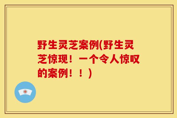 野生灵芝案例(野生灵芝惊现!一个令人惊叹的案例!!) 野生灵芝案例(野生灵芝惊现!一个令人惊叹的案例!!)