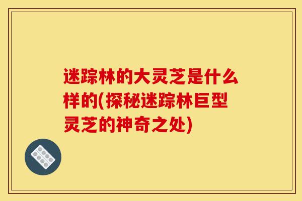 迷踪林的大灵芝是什么样的(探秘迷踪林巨型灵芝的神奇之处) 迷踪林的大灵芝是什么样的(探秘迷踪林巨型灵芝的神奇之处)