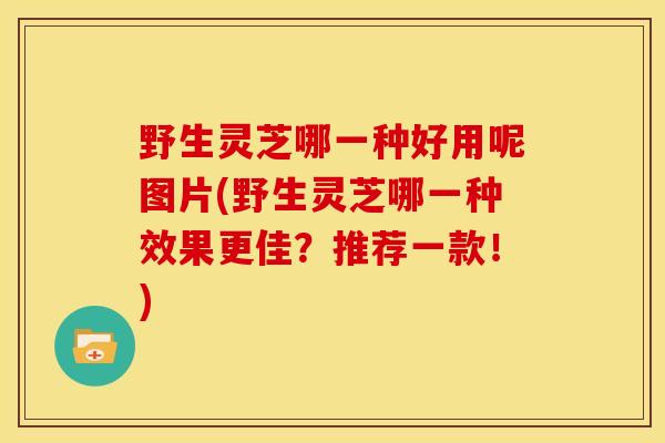 野生灵芝哪一种好用呢图片(野生灵芝哪一种效果更佳?推荐一款!) 野生灵芝哪一种好用呢图片(野生灵芝哪一种效果更佳?推荐一款!)