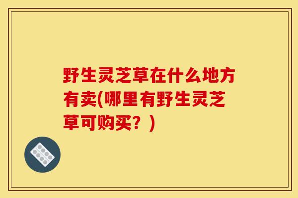 野生灵芝草在什么地方有卖(哪里有野生灵芝草可购买?) 野生灵芝草在什么地方有卖(哪里有野生灵芝草可购买?)