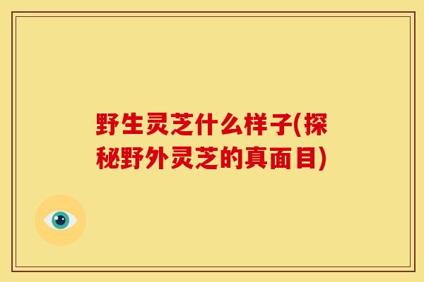 野生灵芝什么样子(探秘野外灵芝的真面目)
