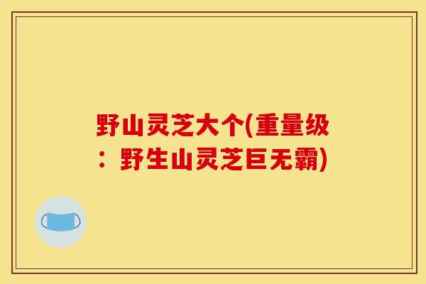 野山灵芝大个(重量级:野生山灵芝巨无霸) 野山灵芝大个(重量级:野生山灵芝巨无霸)