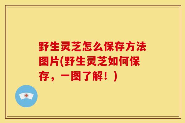 野生灵芝怎么保存方法图片(野生灵芝如何保存,一图了解!) 野生灵芝怎么保存方法图片(野生灵芝如何保存,一图了解!)
