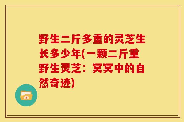 野生二斤多重的灵芝生长多少年(一颗二斤重野生灵芝:冥冥中的自然奇迹) 野生二斤多重的灵芝生长多少年(一颗二斤重野生灵芝:冥冥中的自然奇迹)