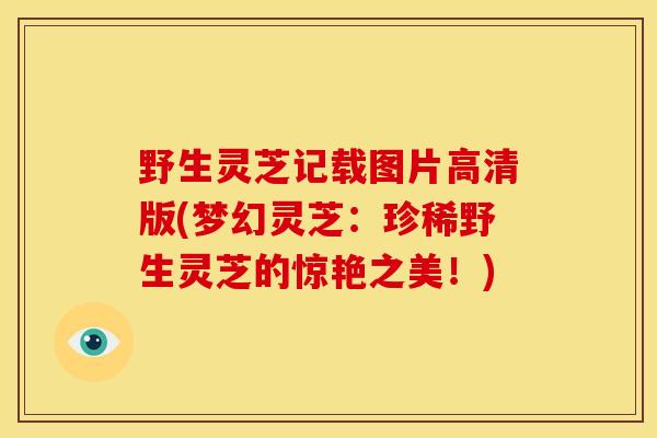 野生灵芝记载图片高清版(梦幻灵芝:珍稀野生灵芝的惊艳之美!) 野生灵芝记载图片高清版(梦幻灵芝:珍稀野生灵芝的惊艳之美!)