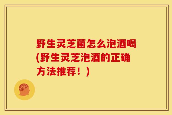 野生灵芝菌怎么泡酒喝(野生灵芝泡酒的正确方法推荐!) 野生灵芝菌怎么泡酒喝(野生灵芝泡酒的正确方法推荐!)