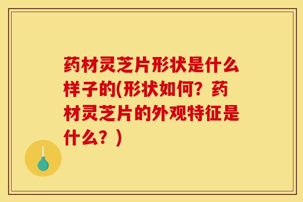 药材灵芝片形状是什么样子的(形状如何?药材灵芝片的外观特征是什么?) 药材灵芝片形状是什么样子的(形状如何?药材灵芝片的外观特征是什么?)