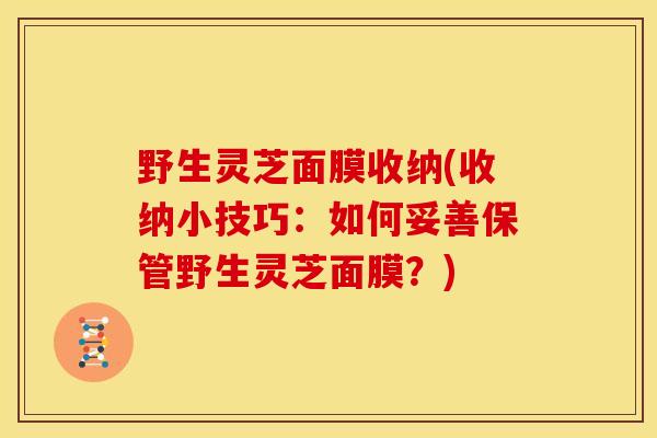 野生灵芝面膜收纳(收纳小技巧:如何妥善保管野生灵芝面膜?) 野生灵芝面膜收纳(收纳小技巧:如何妥善保管野生灵芝面膜?)