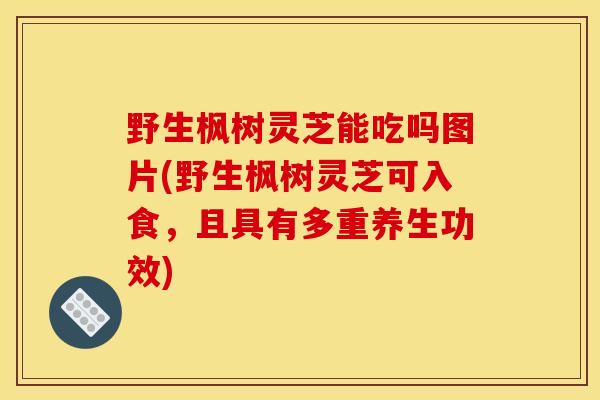 野生枫树灵芝能吃吗图片(野生枫树灵芝可入食,且具有多重养生功效) 野生枫树灵芝能吃吗图片(野生枫树灵芝可入食,且具有多重养生功效)