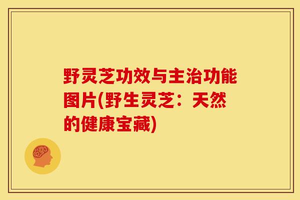 野灵芝功效与主功能图片(野生灵芝:天然的健康宝藏) 野灵芝功效与主功能图片(野生灵芝:天然的健康宝藏)