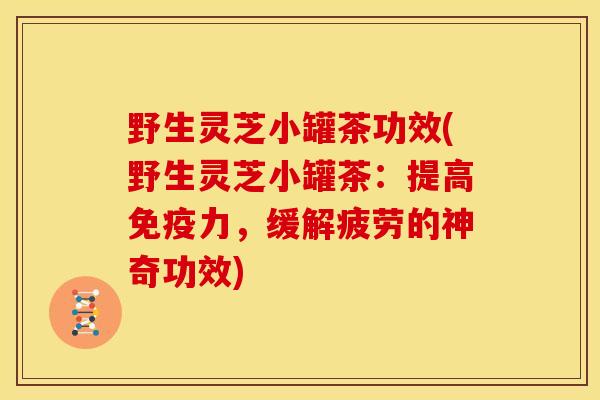 野生灵芝小罐茶功效(野生灵芝小罐茶:提高免疫力,缓解疲劳的神奇功效) 野生灵芝小罐茶功效(野生灵芝小罐茶:提高免疫力,缓解疲劳的神奇功效)