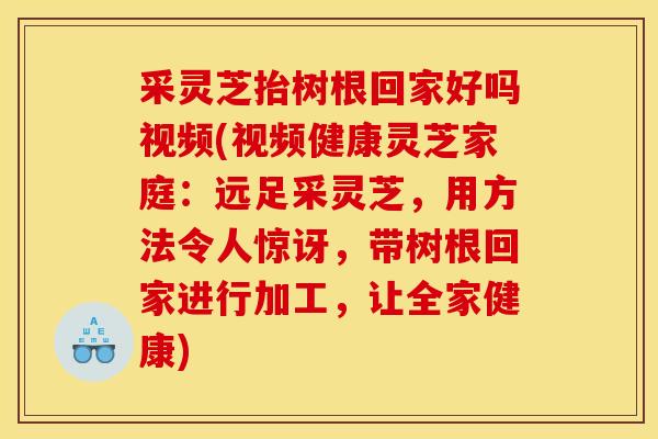 采灵芝抬树根回家好吗视频(视频健康灵芝家庭:远足采灵芝,用方法令人惊讶,带树根回家进行加工,让全家健康) 采灵芝抬树根回家好吗视频(视频健康灵芝家庭:远足采灵芝,用方法令人惊讶,带树根回家进行加工,让全家健康)