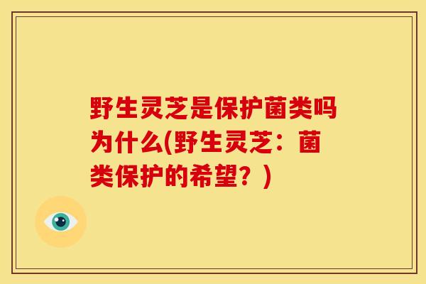 野生灵芝是保护菌类吗为什么(野生灵芝:菌类保护的希望?) 野生灵芝是保护菌类吗为什么(野生灵芝:菌类保护的希望?)