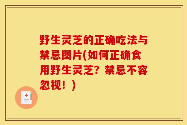 野生灵芝的正确吃法与禁忌图片(如何正确食用野生灵芝?禁忌不容忽视!) 野生灵芝的正确吃法与禁忌图片(如何正确食用野生灵芝?禁忌不容忽视!)