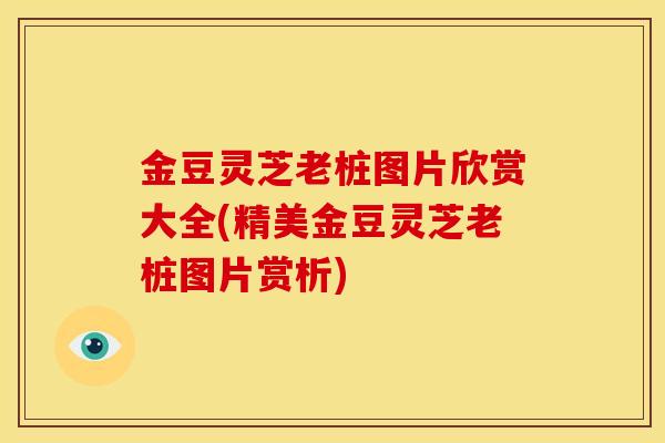 金豆灵芝老桩图片欣赏大全(精美金豆灵芝老桩图片赏析) 金豆灵芝老桩图片欣赏大全(精美金豆灵芝老桩图片赏析)