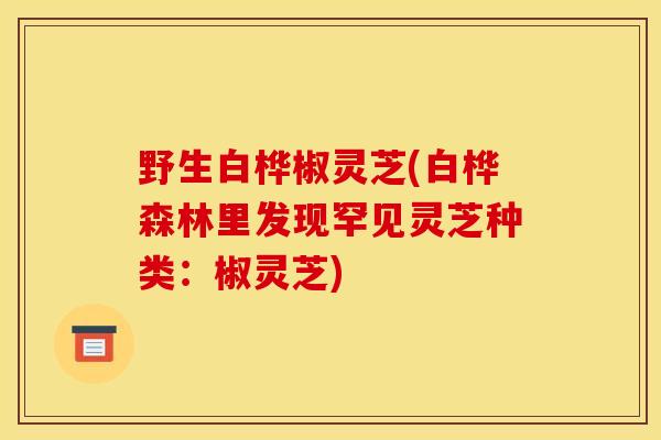 野生白桦椒灵芝(白桦森林里发现罕见灵芝种类：椒灵芝)