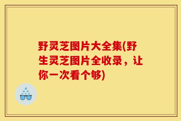 野灵芝图片大全集(野生灵芝图片全收录,让你一次看个够) 野灵芝图片大全集(野生灵芝图片全收录,让你一次看个够)