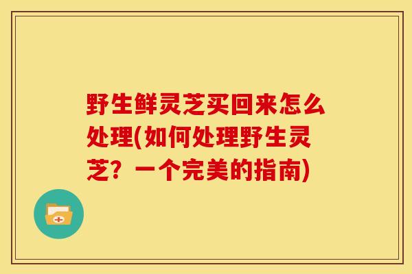 野生鲜灵芝买回来怎么处理(如何处理野生灵芝?一个完美的指南) 野生鲜灵芝买回来怎么处理(如何处理野生灵芝?一个完美的指南)