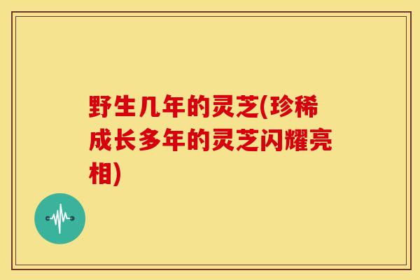 野生几年的灵芝(珍稀成长多年的灵芝闪耀亮相) 野生几年的灵芝(珍稀成长多年的灵芝闪耀亮相)
