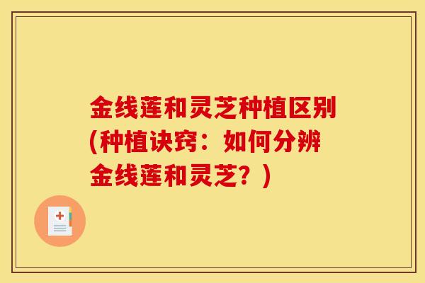 金线莲和灵芝种植区别(种植诀窍:如何分辨金线莲和灵芝?) 金线莲和灵芝种植区别(种植诀窍:如何分辨金线莲和灵芝?)