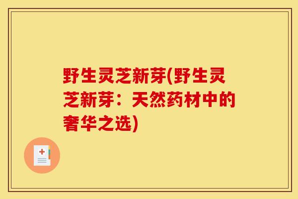 野生灵芝新芽(野生灵芝新芽：天然药材中的奢华之选)