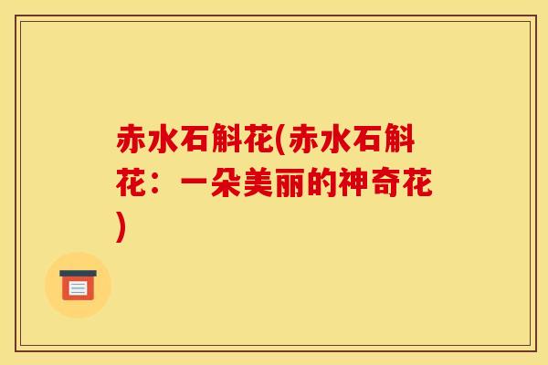赤水石斛花(赤水石斛花:一朵美丽的神奇花) 赤水石斛花(赤水石斛花:一朵美丽的神奇花)