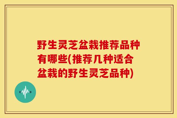 野生灵芝盆栽推荐品种有哪些(推荐几种适合盆栽的野生灵芝品种)