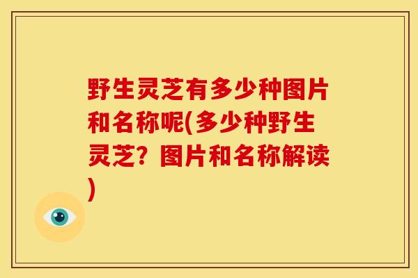 野生灵芝有多少种图片和名称呢(多少种野生灵芝?图片和名称解读) 野生灵芝有多少种图片和名称呢(多少种野生灵芝?图片和名称解读)