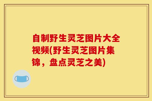 自制野生灵芝图片大全视频(野生灵芝图片集锦,盘点灵芝之美) 自制野生灵芝图片大全视频(野生灵芝图片集锦,盘点灵芝之美)