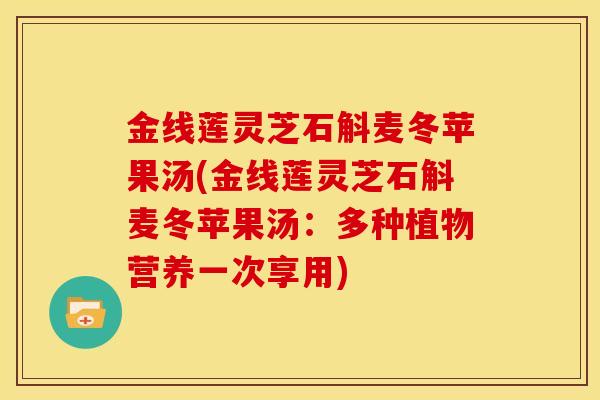 金线莲灵芝石斛麦冬苹果汤(金线莲灵芝石斛麦冬苹果汤:多种植物营养一次享用) 金线莲灵芝石斛麦冬苹果汤(金线莲灵芝石斛麦冬苹果汤:多种植物营养一次享用)