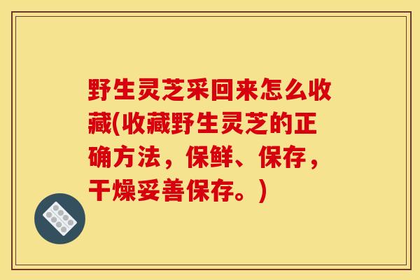 野生灵芝采回来怎么收藏(收藏野生灵芝的正确方法,保鲜、保存,干燥妥善保存。) 野生灵芝采回来怎么收藏(收藏野生灵芝的正确方法,保鲜、保存,干燥妥善保存。)
