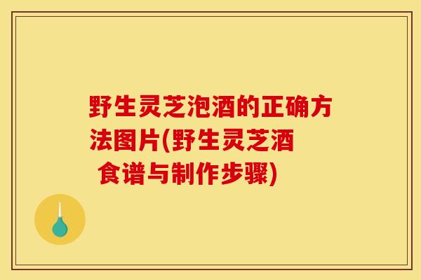 野生灵芝泡酒的正确方法图片(野生灵芝酒 食谱与制作步骤) 野生灵芝泡酒的正确方法图片(野生灵芝酒 食谱与制作步骤)