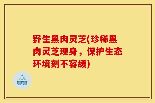 野生黑肉灵芝(珍稀黑肉灵芝现身,保护生态环境刻不容缓) 野生黑肉灵芝(珍稀黑肉灵芝现身,保护生态环境刻不容缓)