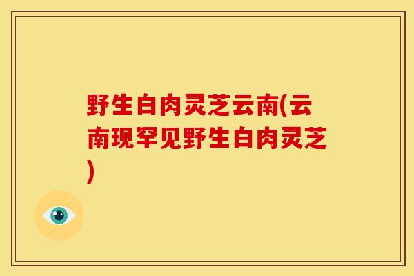 野生白肉灵芝云南(云南现罕见野生白肉灵芝) 野生白肉灵芝云南(云南现罕见野生白肉灵芝)