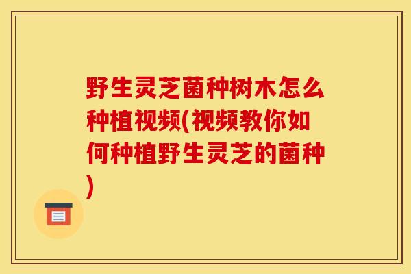 野生灵芝菌种树木怎么种植视频(视频教你如何种植野生灵芝的菌种) 野生灵芝菌种树木怎么种植视频(视频教你如何种植野生灵芝的菌种)